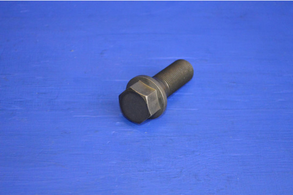 Crankshaft Pulley Bolt (Genuine)