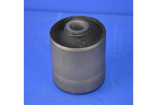 Rear Trailing / Suspension Arm Lower Front or Rear Bush (Ea)