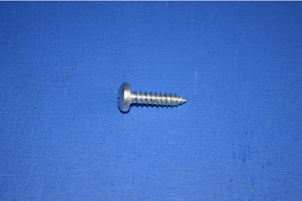 Universal Self Tapping Screw (4.8 X 19mm)
