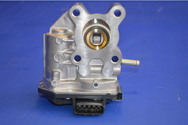 EGR Valve (Genuine)