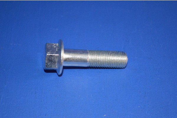 Front Brake Caliper Fitting Bolt (Each)