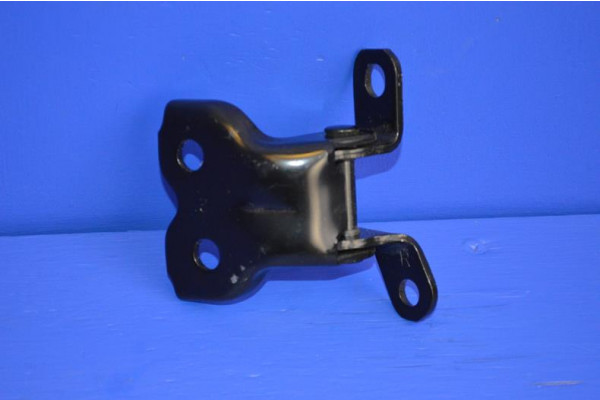 Door Hinge Lower Front R/H