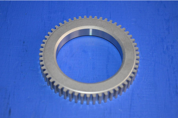 Rear Wheel Bearing Retainer (With ABS Fitted)