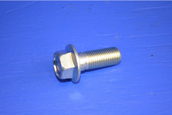 Brake Caliper Fitting Bolt Front