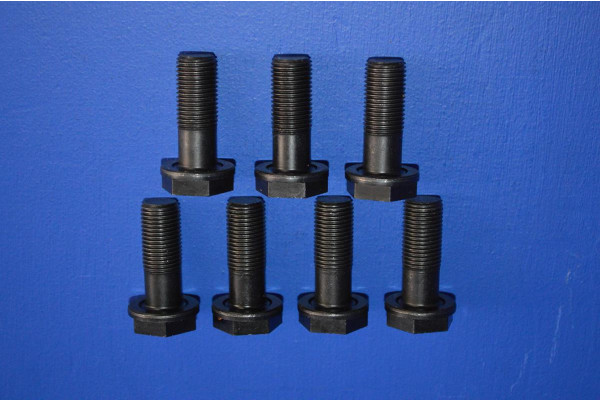 Engine Flywheel Fitting Bolt Set (7) (Manual Transmission)
