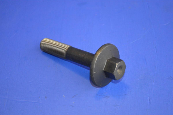 Crankshaft Pulley Bolt (Genuine)