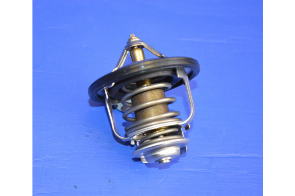 Engine Thermostat Tama (78 Degrees) F300 ->1997