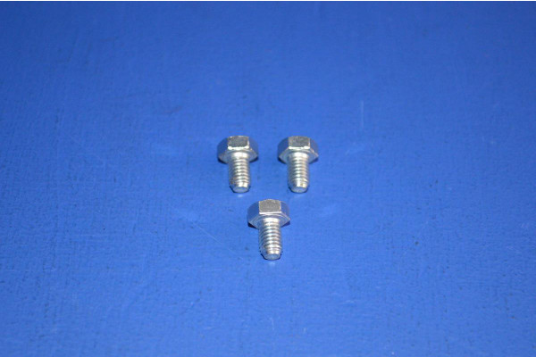 Front Electric Window Motor Fitting Bolts (3)