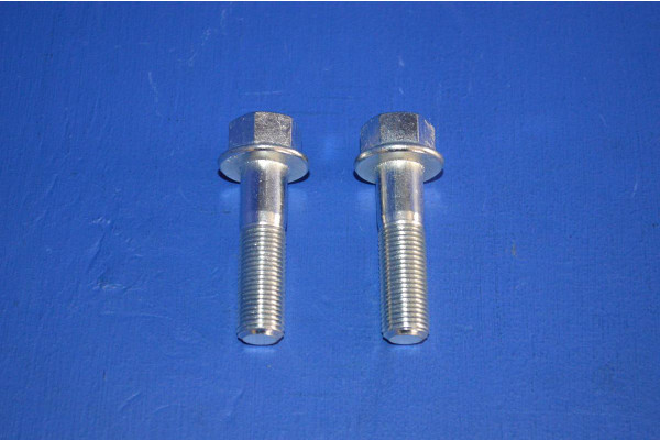 Front Brake Caliper Fitting Bolts (2)
