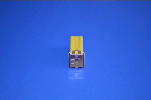 Fuse 60 Amp Female