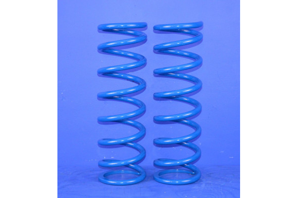 Rear Coil Spring (Pair) OBK