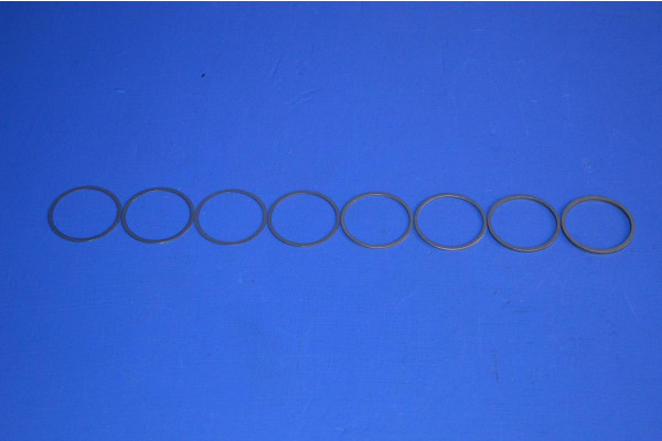 Free Wheeling Hub Shim Set Genuine