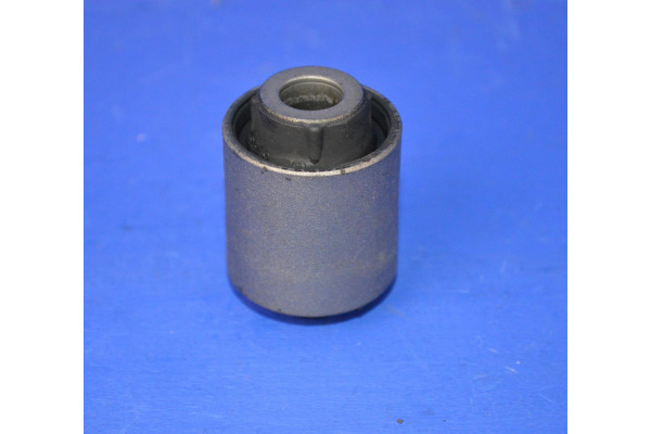 Rear Coil Spring Lower Arm Inner or Outer Bush (Genuine)