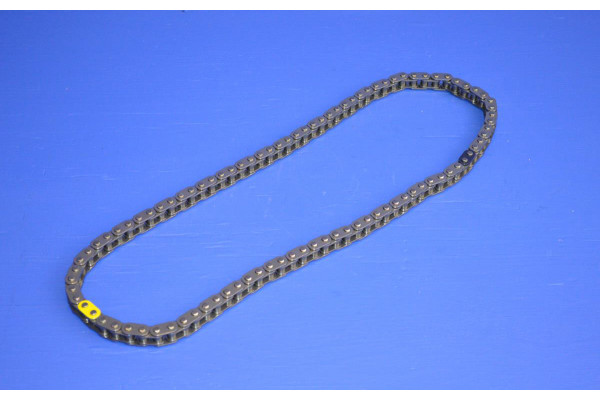 Engine Oil Pump Chain