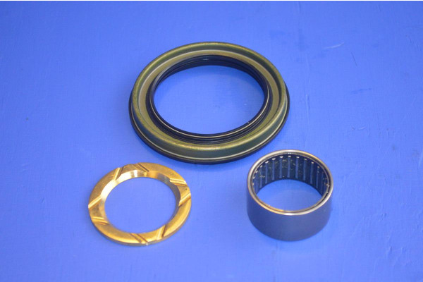 Upright / Knuckle Kit. Needle Roller Kit  (1 Side)