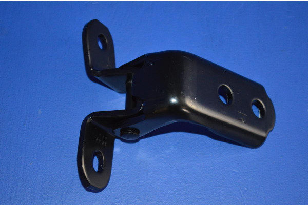 Front Door Hinge Lower R/H Genuine