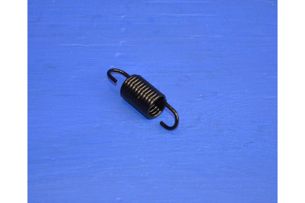 Engine Cam Idler Pulley Spring