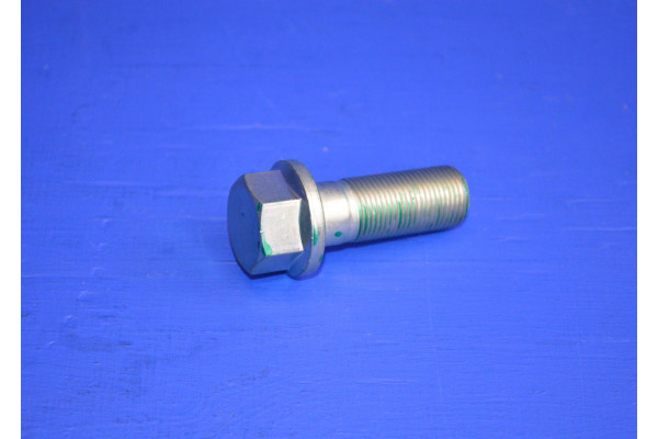 Crankshaft Pulley Bolt (Genuine)