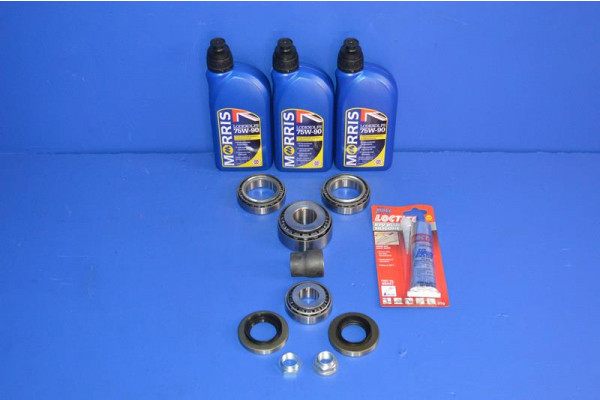 Rear Differential Bearing Overhaul Kit +Oil 3L (Open Type)
