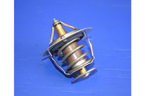 Engine Thermostat Tama (76 Degrees)