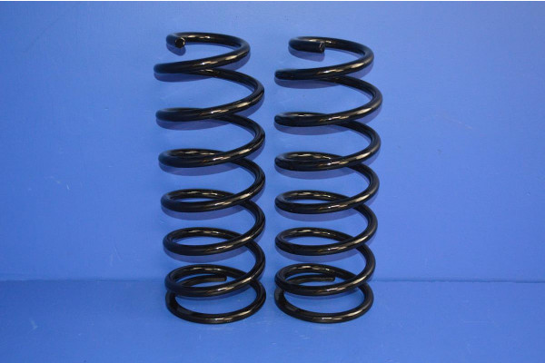 Rear Coil Spring (Pair) OBK