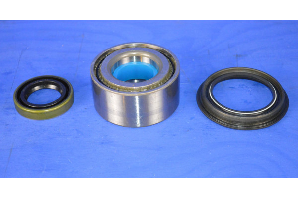 Nissan Terrano Rear Wheel Bearing Kit (1 Side) 1996-2007