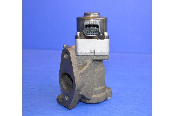 EGR Valve Genuine