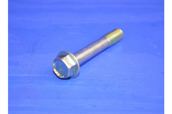 Brake Caliper Sliding Pin Front (Lock) Lower