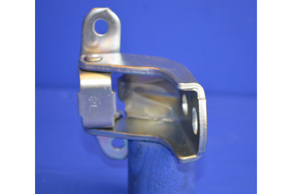 Door Hinge Lower Front R/H