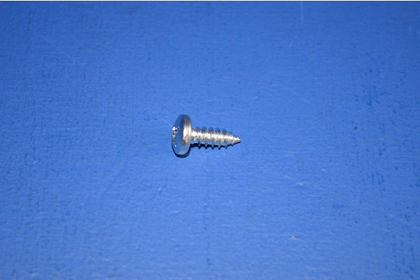 Universal Self Tapping Screw (4.8 X 13mm)