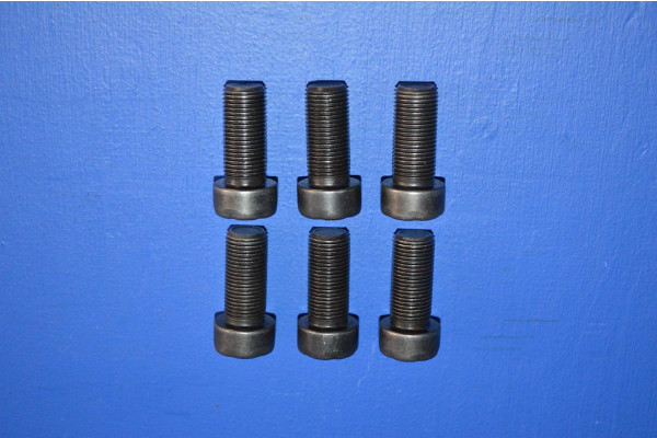 Engine Flywheel Fitting Bolt Set (6) (Manual Transmission)