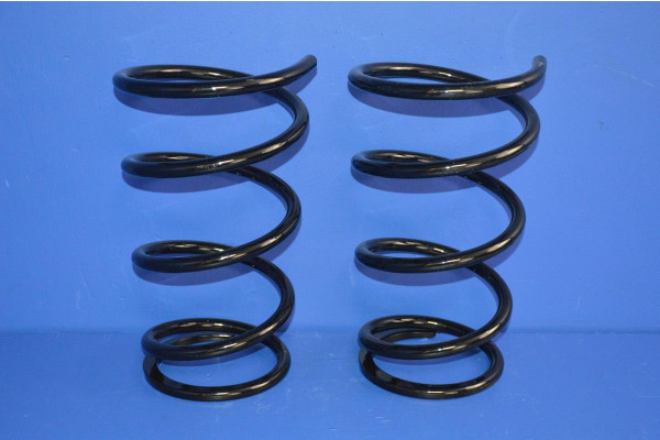 Rear Coil Springs (Pair) OBK